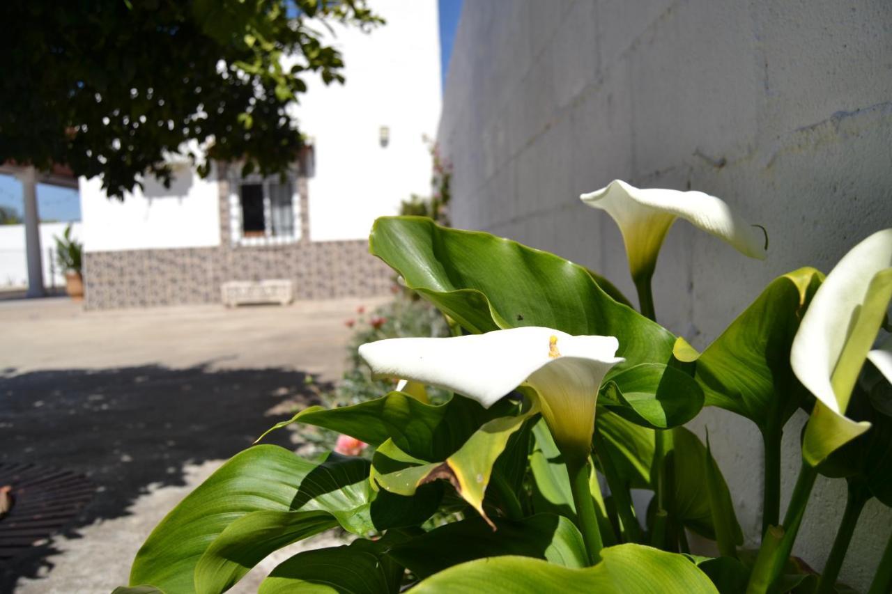 La Orquidea De Cordoba Villa Bagian luar foto